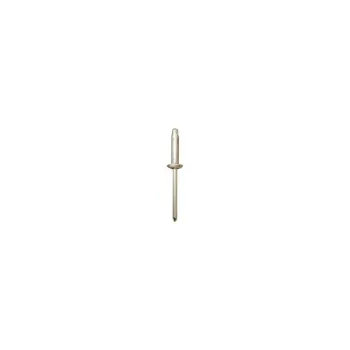 Laienev neet Ø 4,8 x 19,8 mm, alumiinium