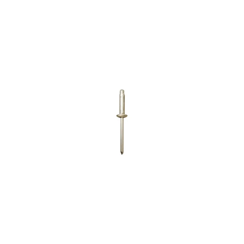 Laienev neet Ø 4,8 x 19,8 mm, alumiinium
