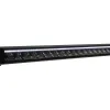 W-LIGHT VORTEX