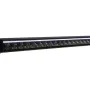 W-LIGHT VORTEX