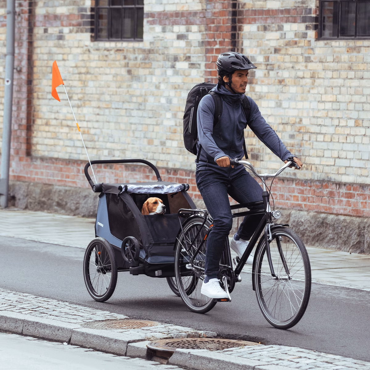Thule Courier dog trailer kit
koerahaagise komplekt