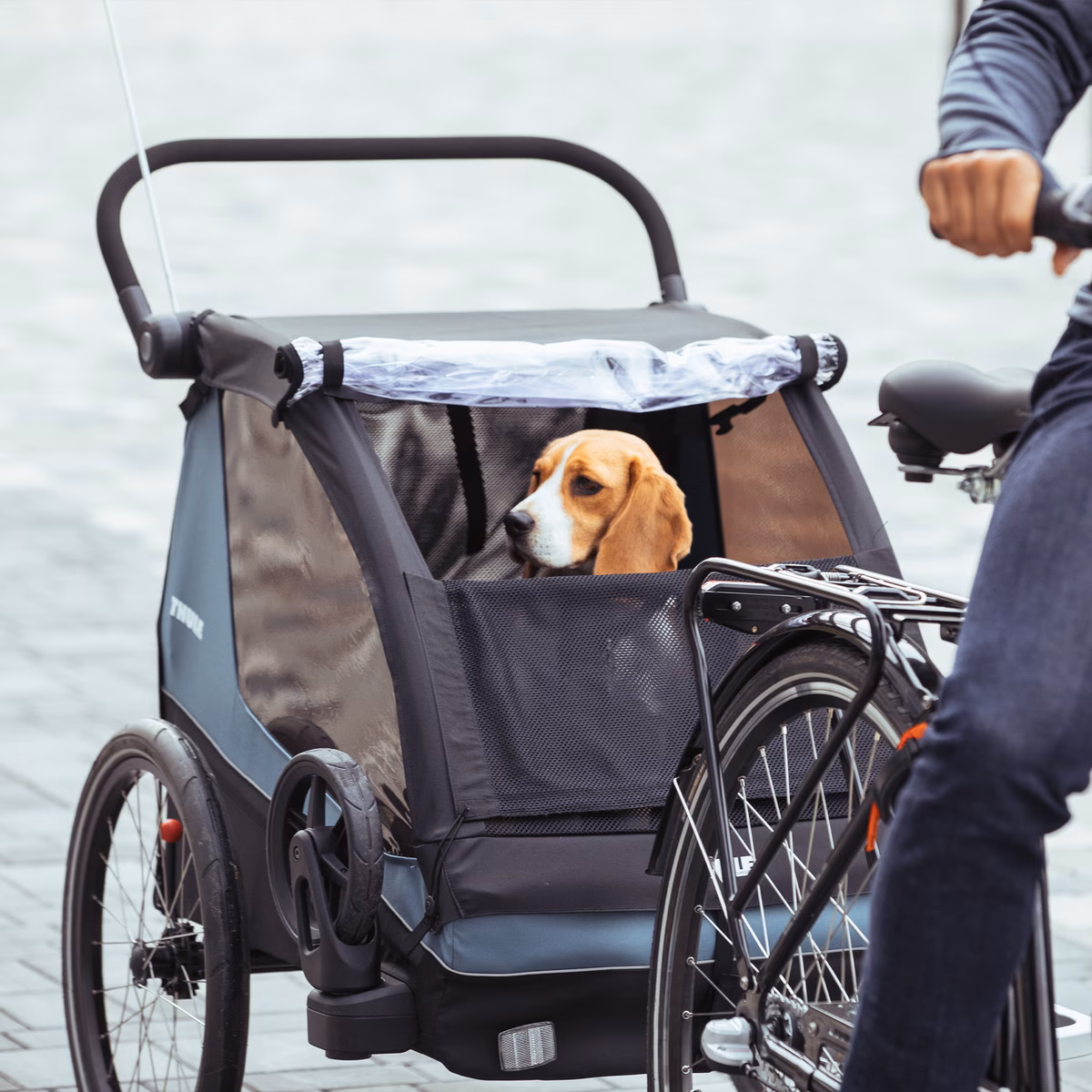 Thule Courier dog trailer kit
koerahaagise komplekt