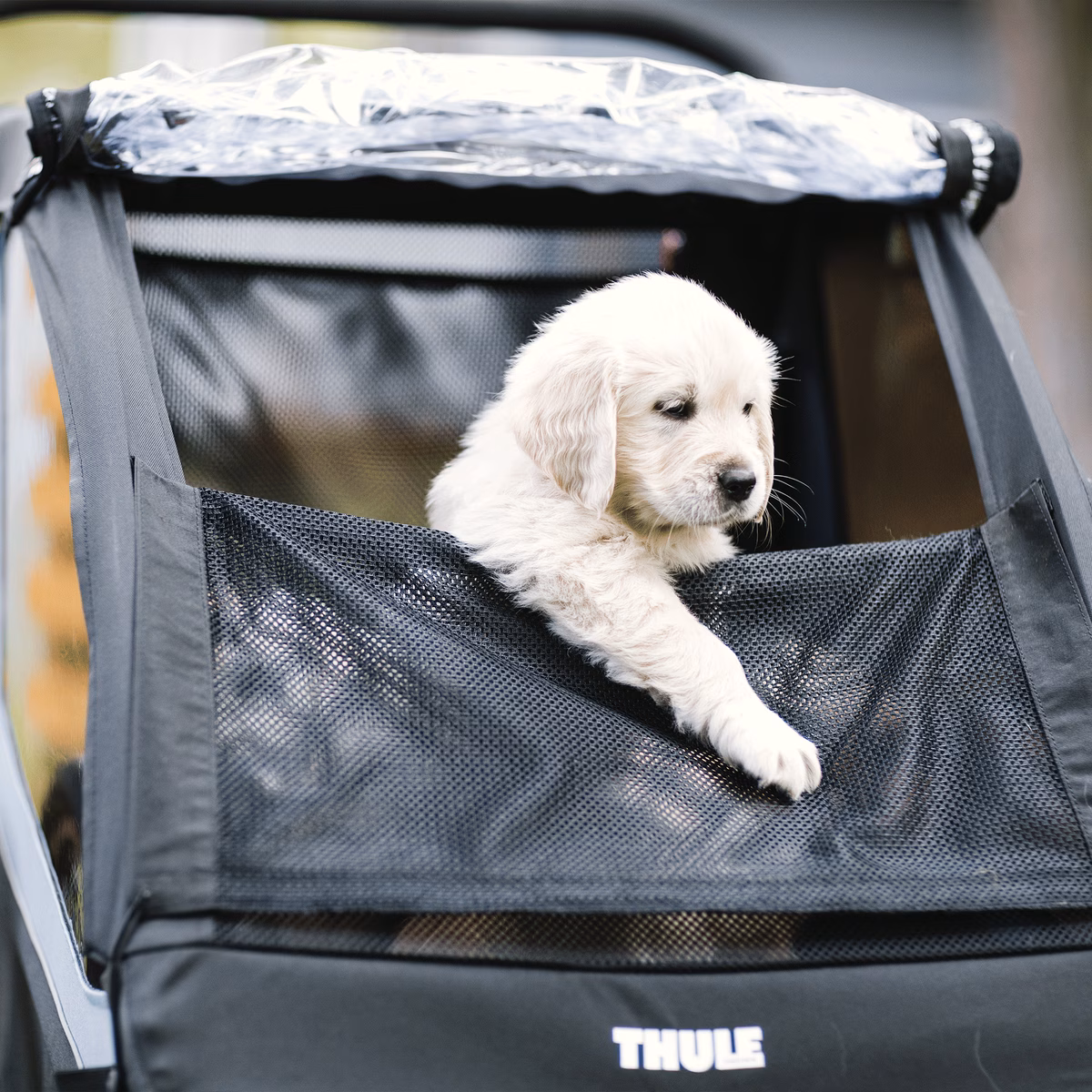 Thule Courier dog trailer kit
koerahaagise komplekt