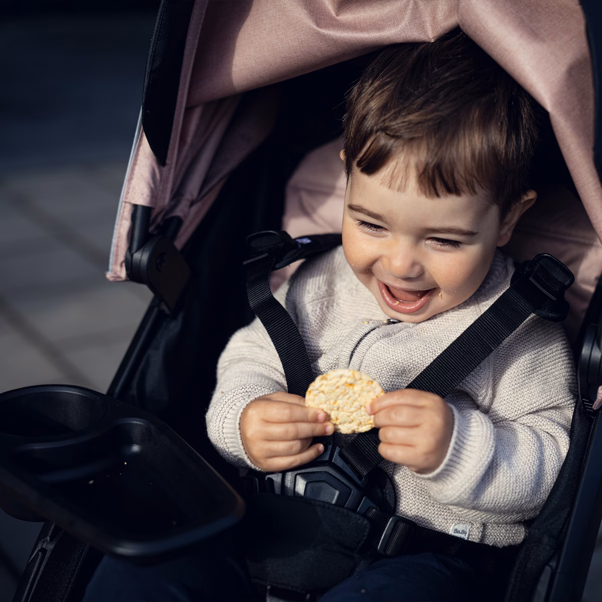 Thule Spring snack tray
toidualus must