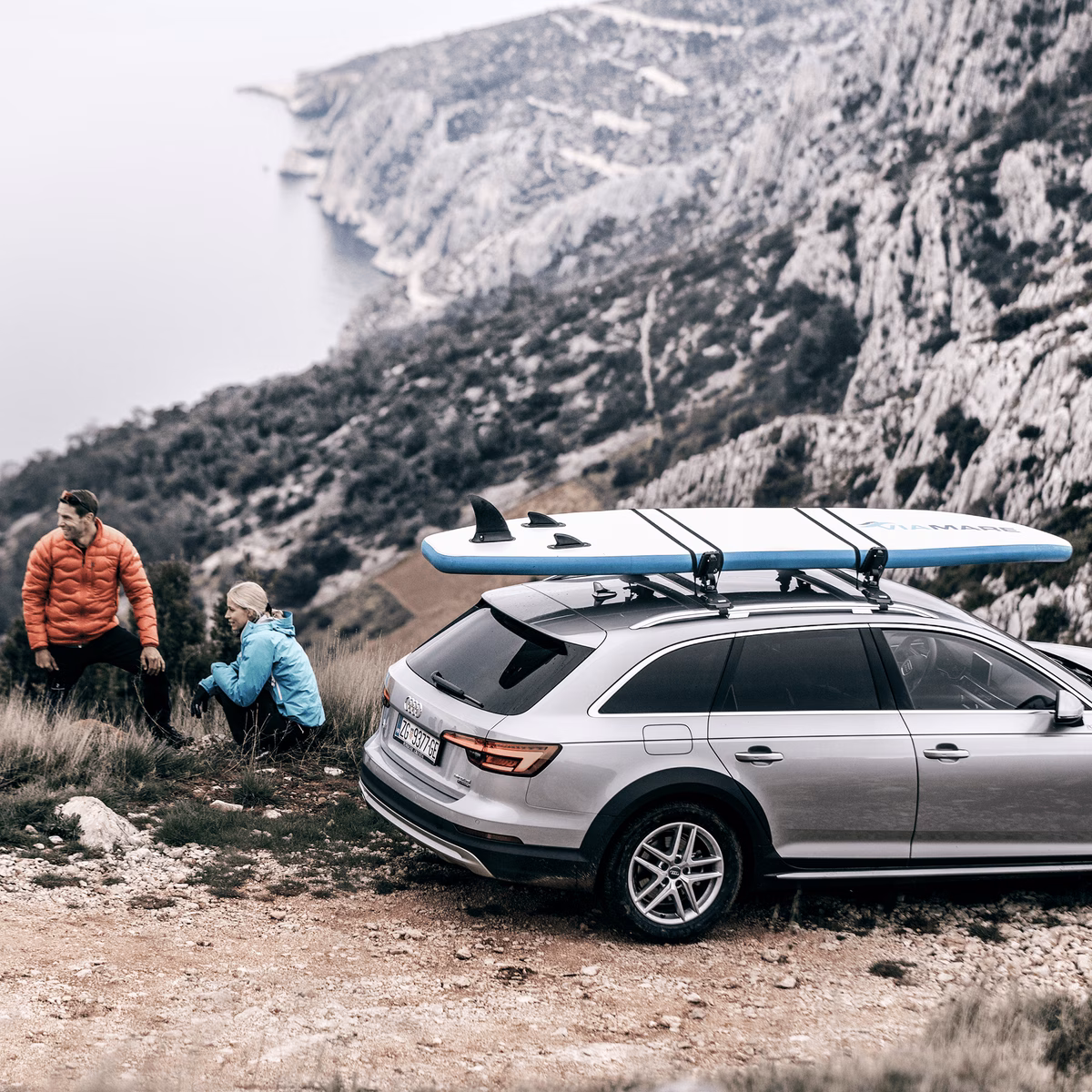 Thule DockGrip
horisontaalne süstaraam must