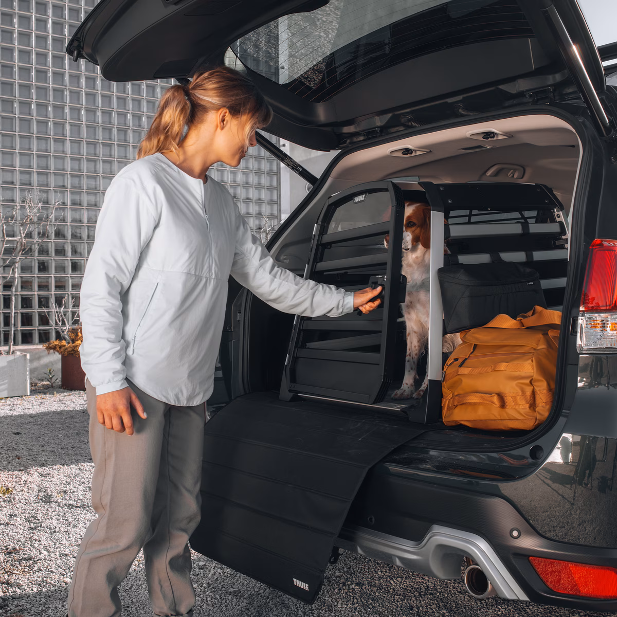 Thule Allax XS
koerapuur autosse