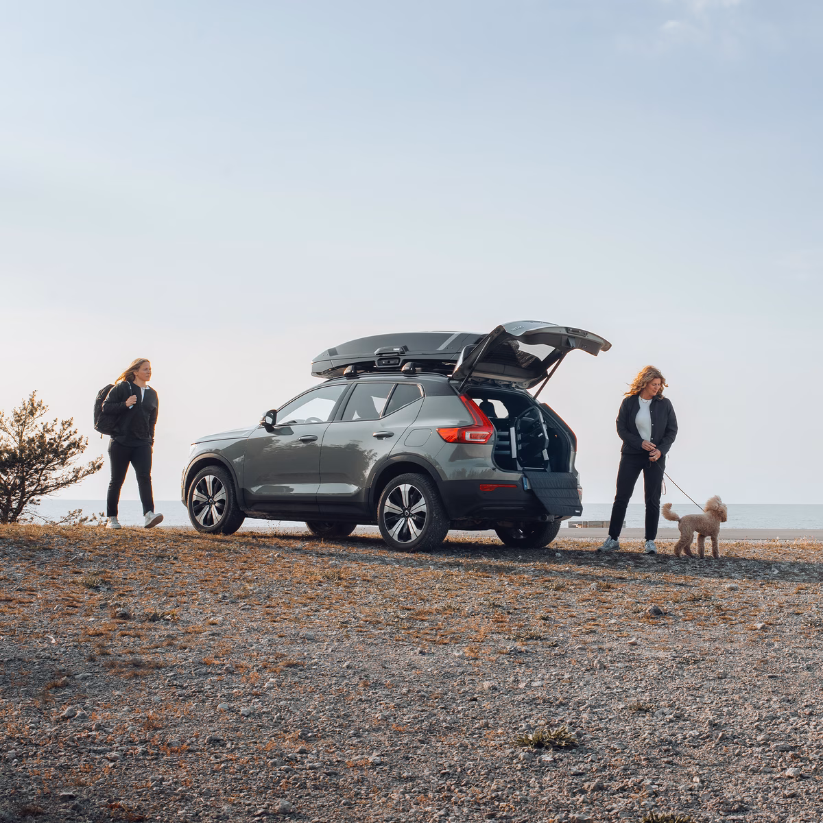 Thule Allax XS
koerapuur autosse
