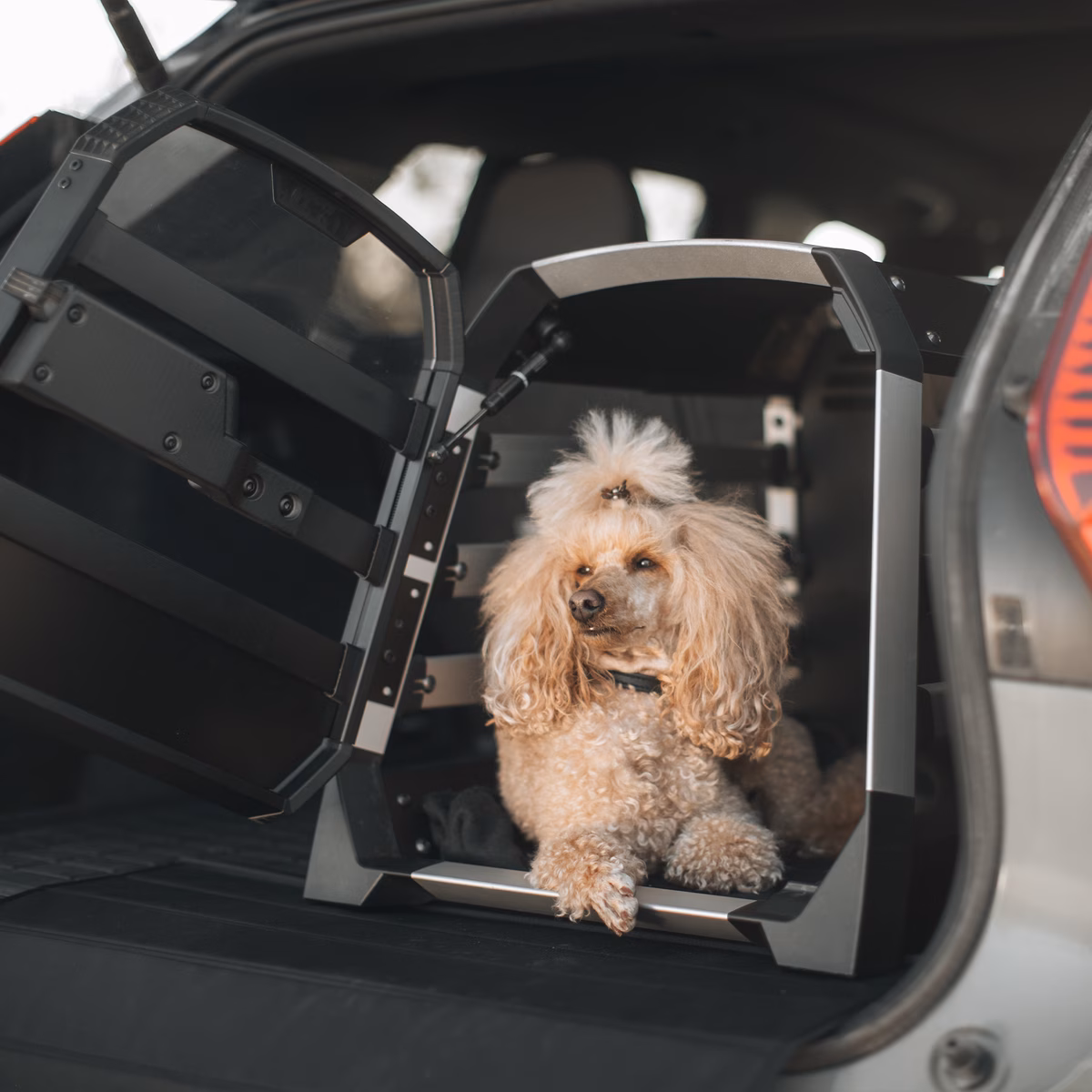 Thule Allax XS
koerapuur autosse