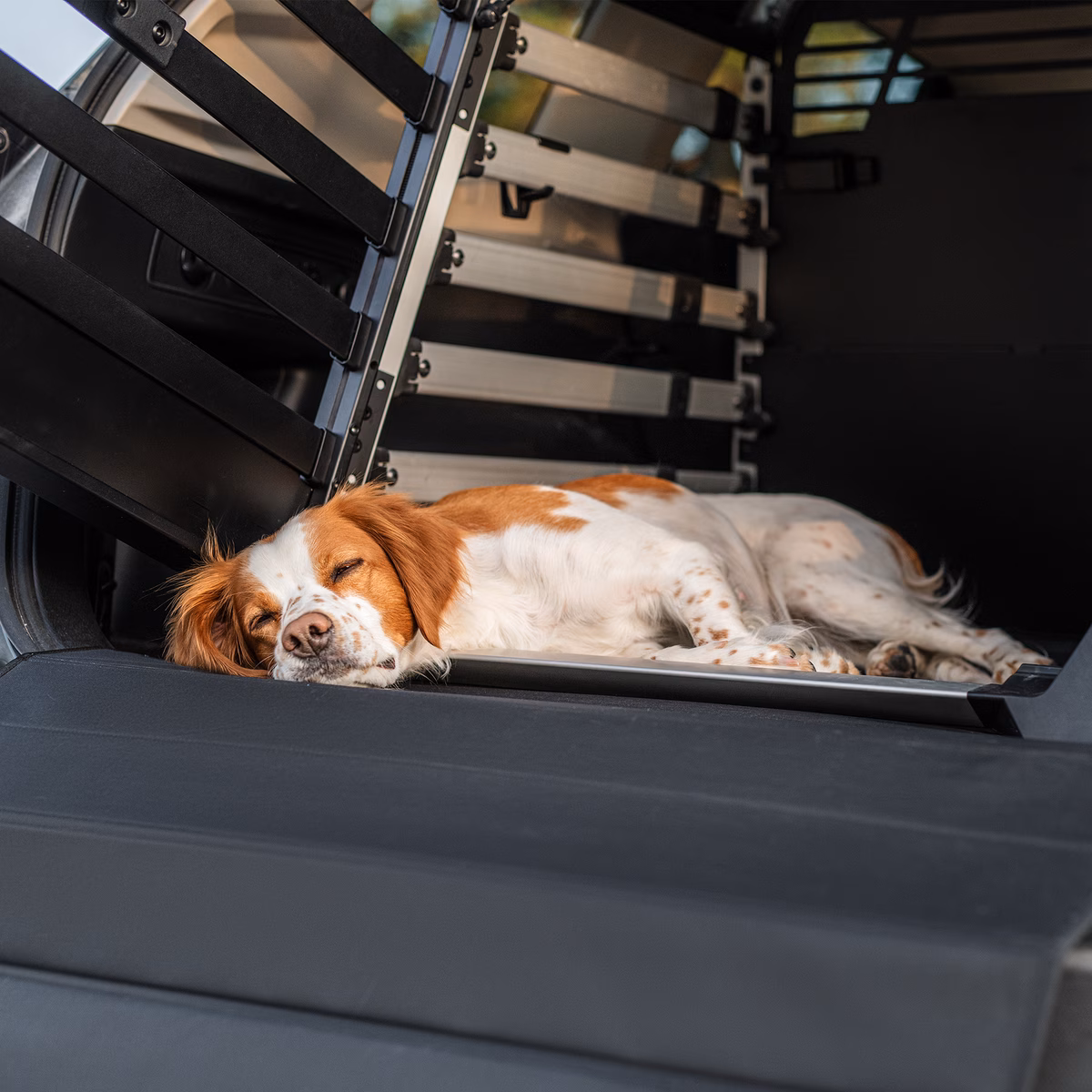 Thule dog crate mat standard
standardne koerapuuri matt