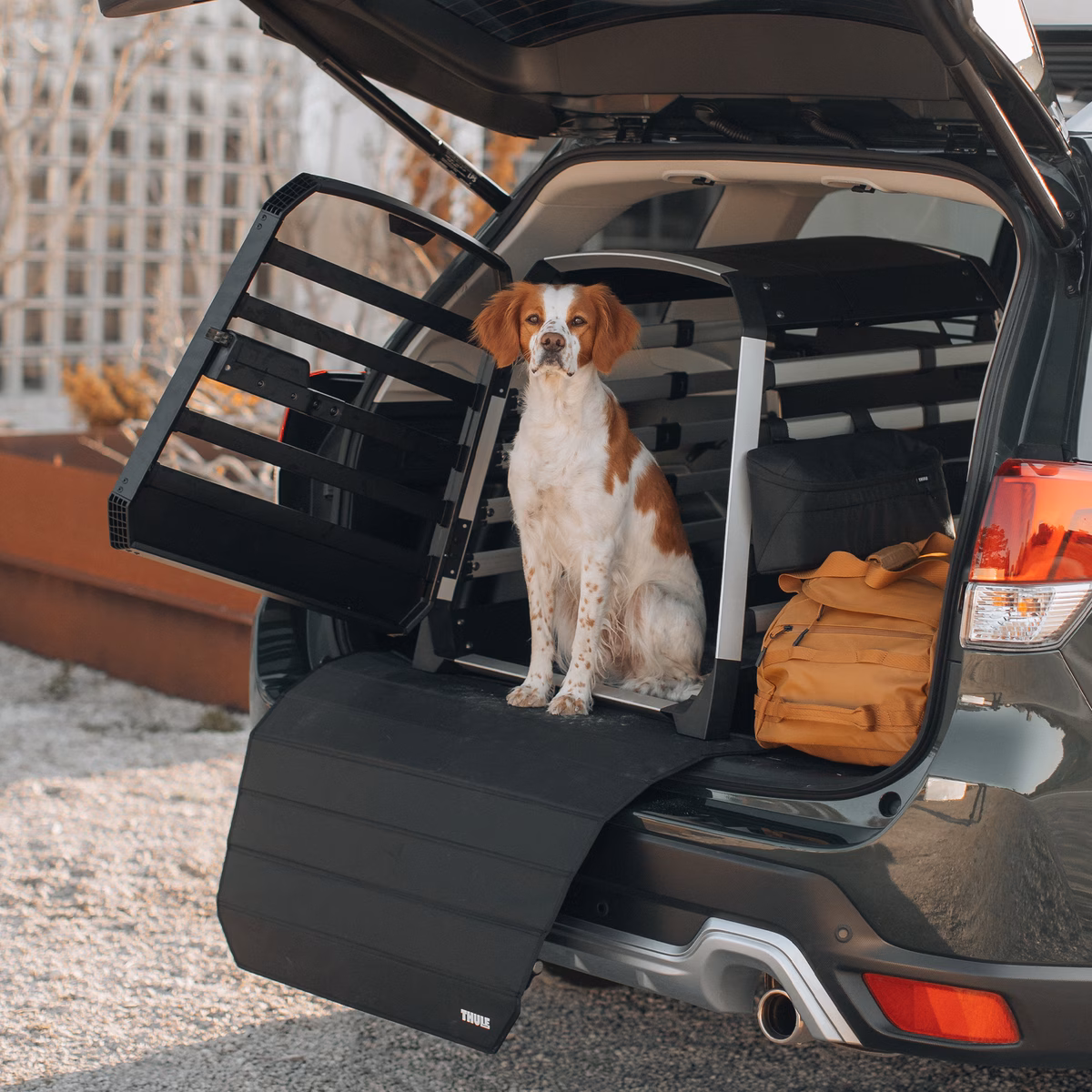 Thule dog crate mat standard
standardne koerapuuri matt