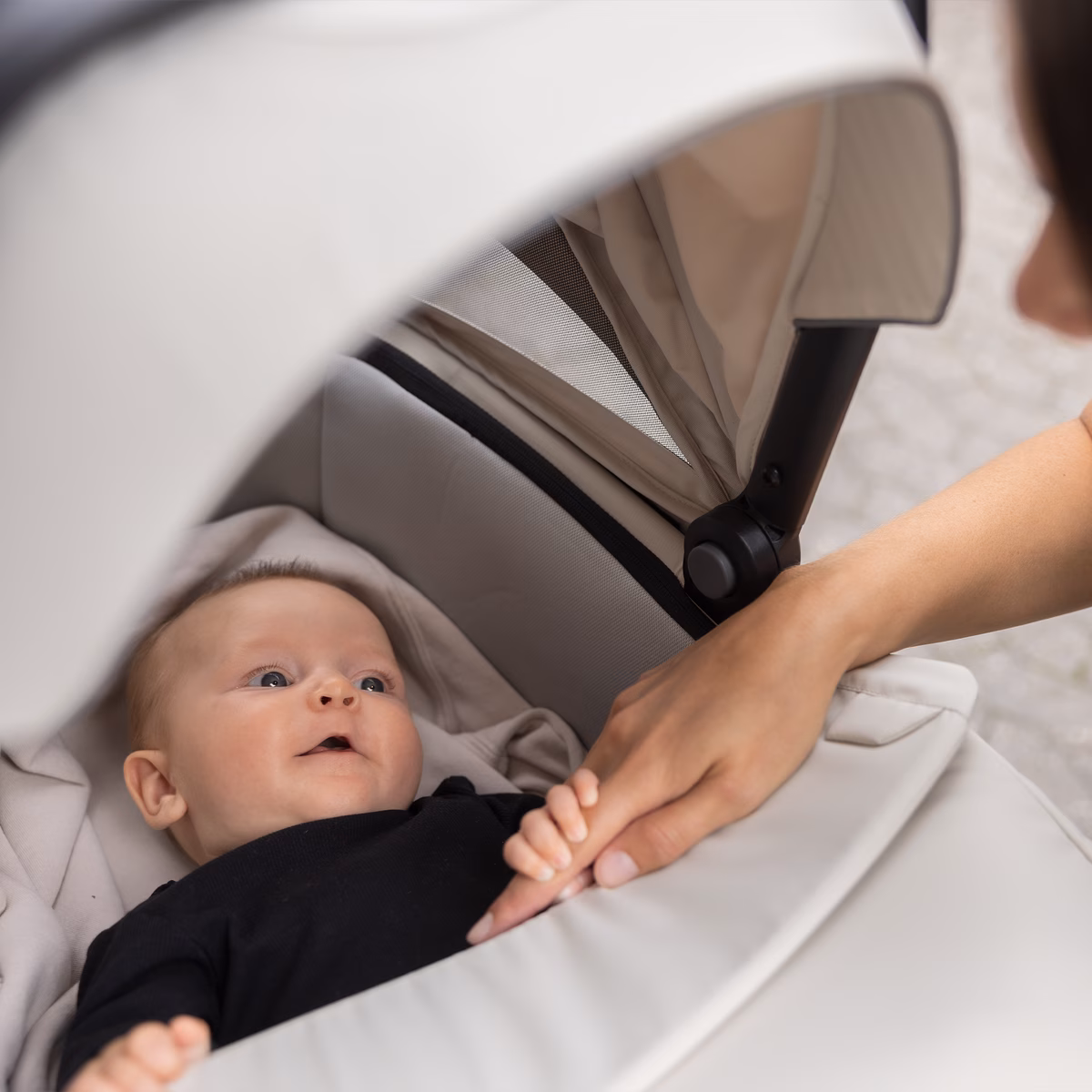 Thule bassinet
vankrikorv must