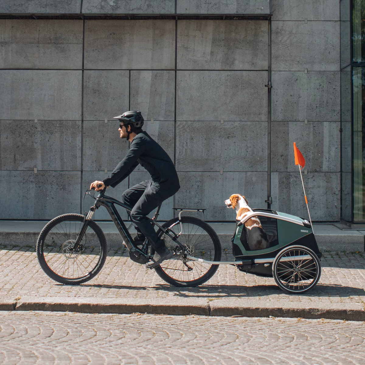Thule Bexey M
koerte jalgrattahaagis Hazy Green