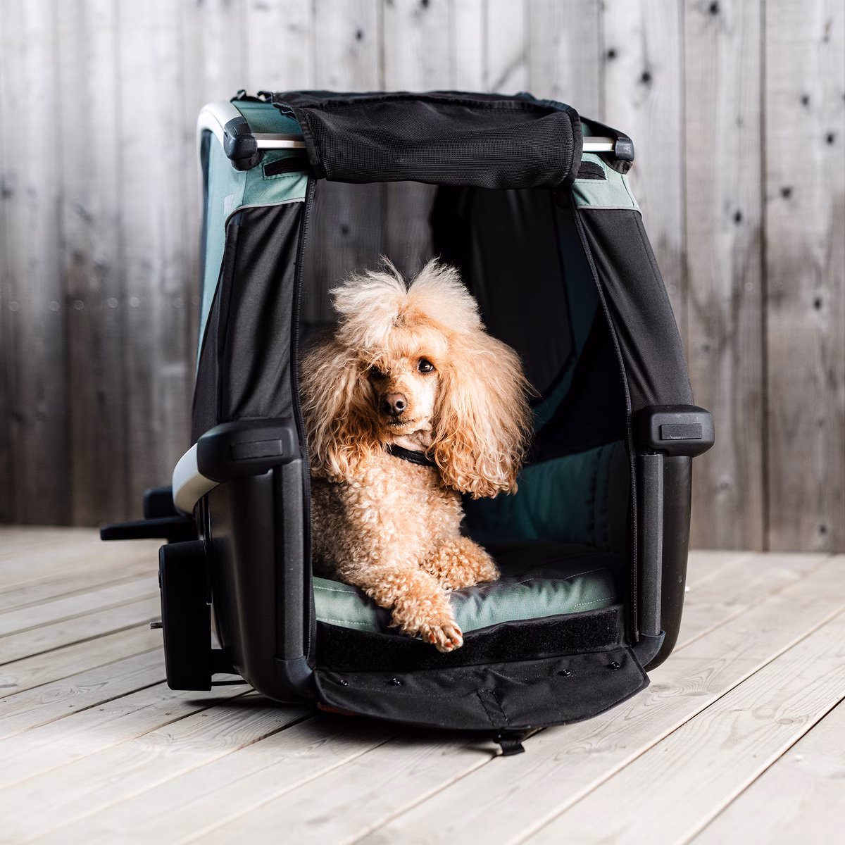Thule Bexey M
koerte jalgrattahaagis Hazy Green