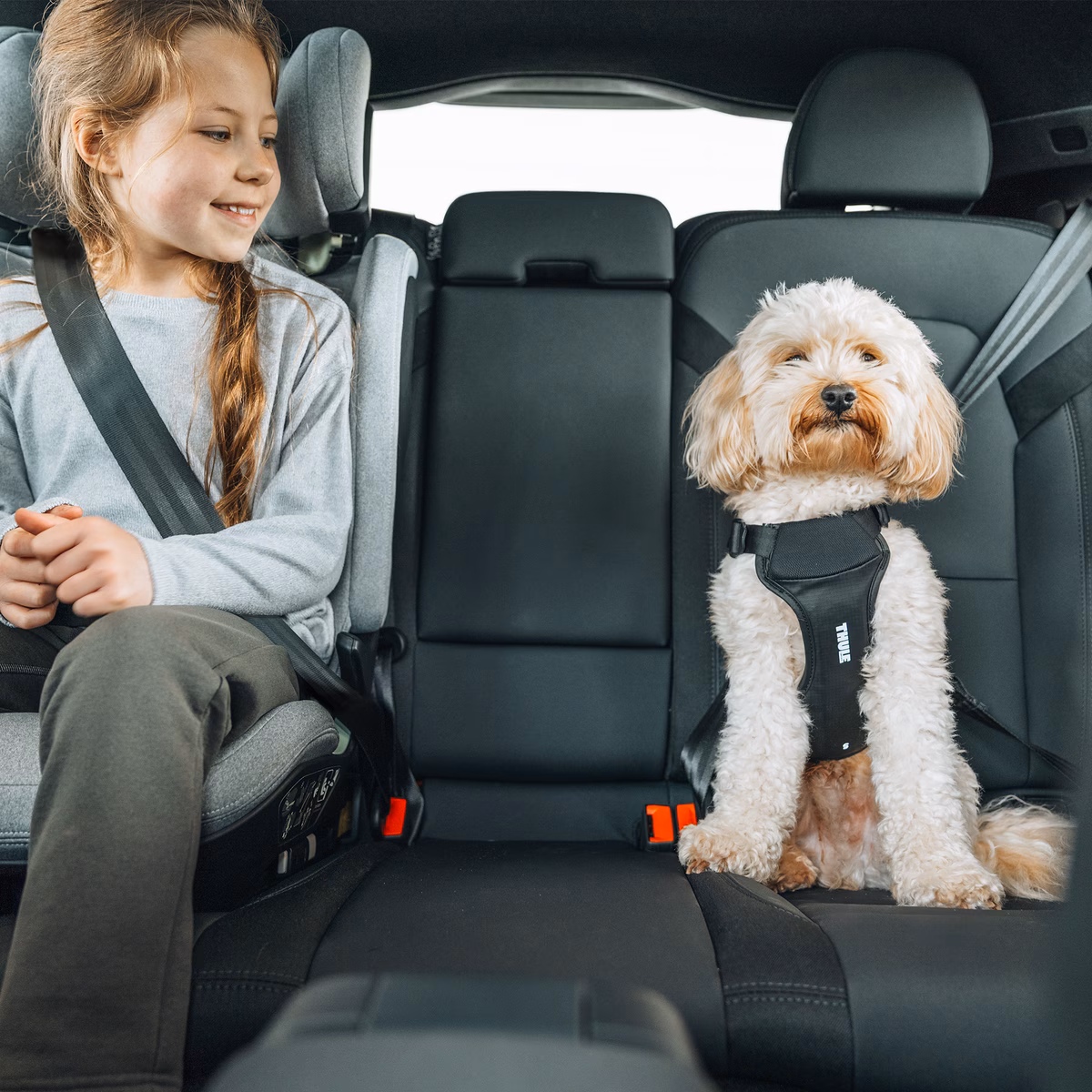 Thule Cappy
koera traksid autosse M