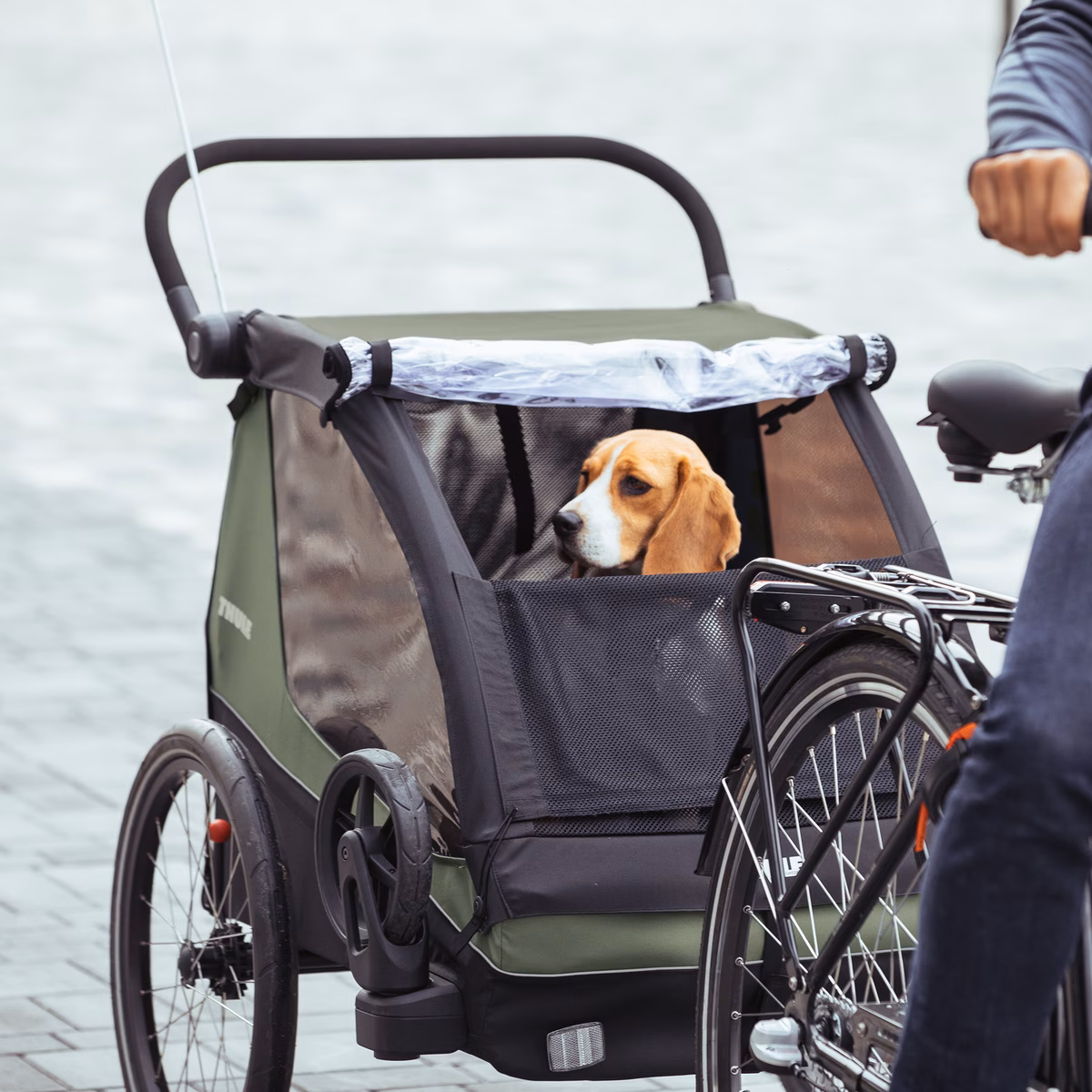 Thule Courier
laste, pagasi ja koera jalgrattahaagis khakiroheline