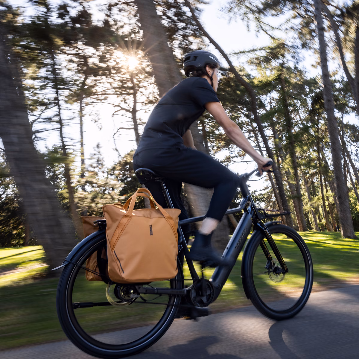 Thule Chasm
jalgratta kandekott InLock 25L tuhmoranž